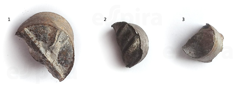 Фрагменты арматуры